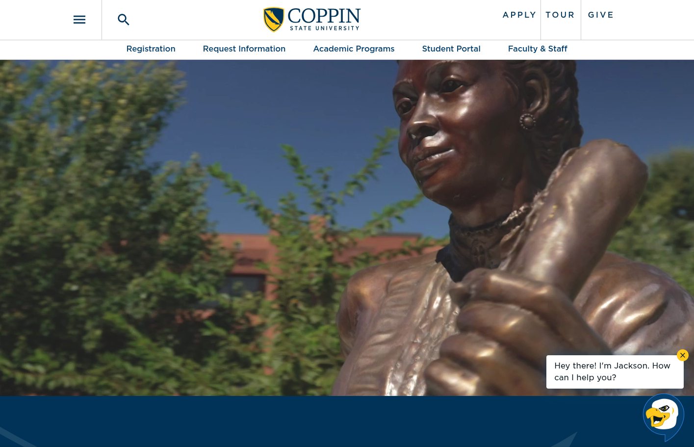 Coppin State University Website Review