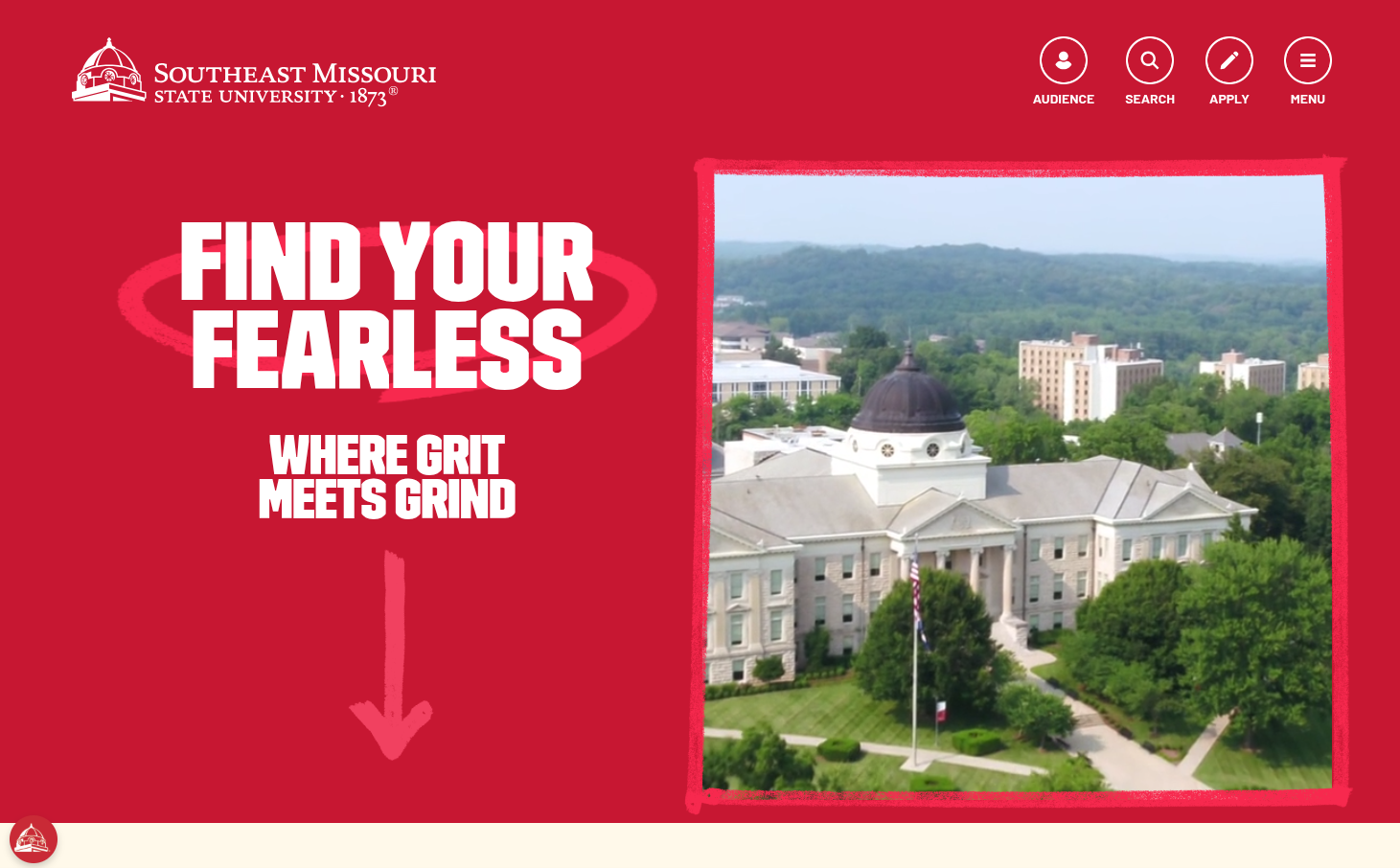 Southeast Missouri State University Website Review