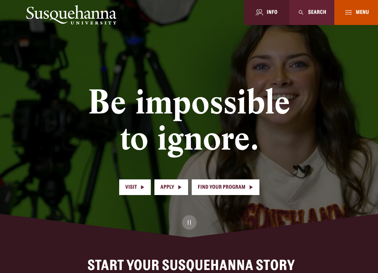 Susquehanna University Website Review